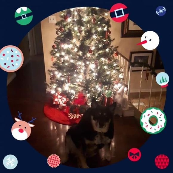 Meet your Posher, Tanya - Picture 1 of 1